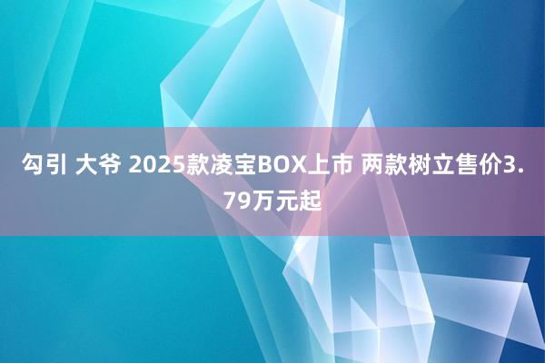 勾引 大爷 2025款凌宝BOX上市 两款树立售价3.79万元起