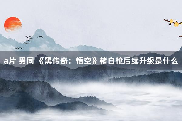 a片 男同 《黑传奇：悟空》楮白枪后续升级是什么