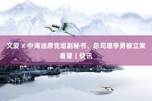 文爱 x 中海油原党组副秘书、总司理李勇被立案看望｜快讯