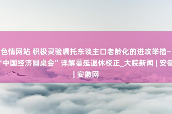 色情网站 积极灵验嘱托东谈主口老龄化的进攻举措——“中国经济圆桌会”详解蔓延退休校正_大皖新闻 | 安徽网