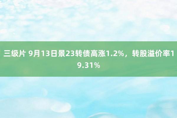 三级片 9月13日景23转债高涨1.2%，转股溢价率19.31%