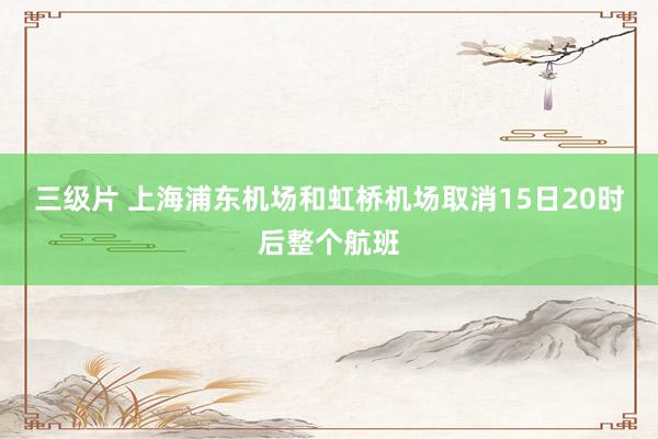 三级片 上海浦东机场和虹桥机场取消15日20时后整个航班