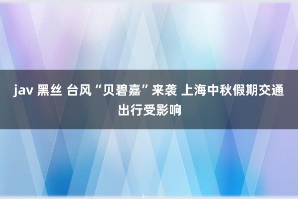 jav 黑丝 台风“贝碧嘉”来袭 上海中秋假期交通出行受影响