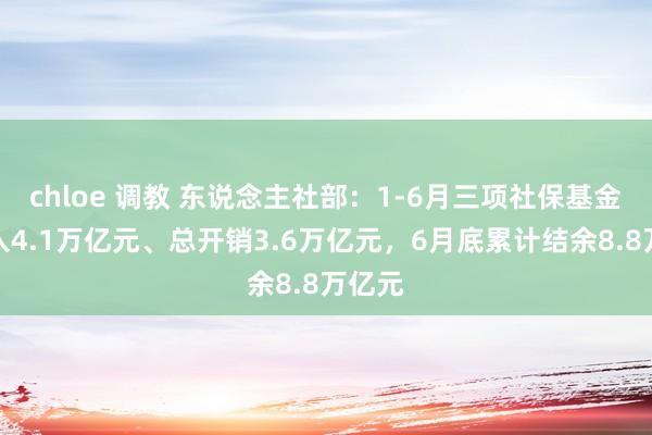 chloe 调教 东说念主社部：1-6月三项社保基金总收入4.1万亿元、总开销3.6万亿元，6月底累计结余8.8万亿元