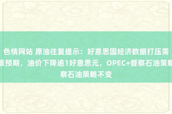 色情网站 原油往复提示：好意思国经济数据打压需求远景预期，油价下降逾1好意思元，OPEC+督察石油策略不变