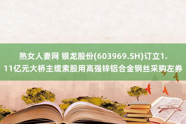 熟女人妻网 银龙股份(603969.SH)订立1.11亿元大桥主缆索股用高强锌铝合金钢丝采购左券