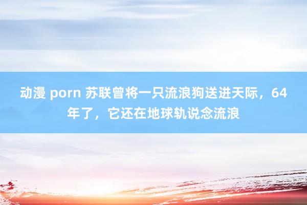 动漫 porn 苏联曾将一只流浪狗送进天际，64年了，它还在地球轨说念流浪