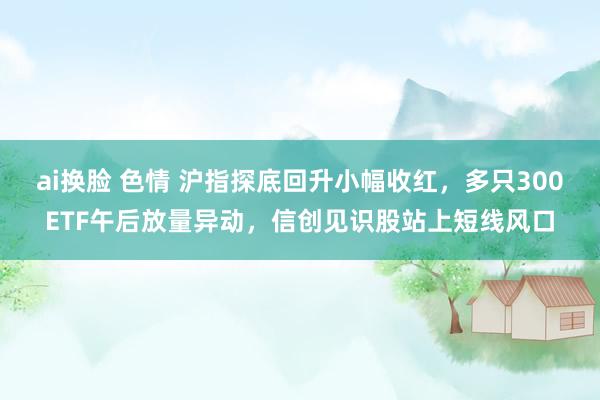 ai换脸 色情 沪指探底回升小幅收红，多只300ETF午后放量异动，信创见识股站上短线风口