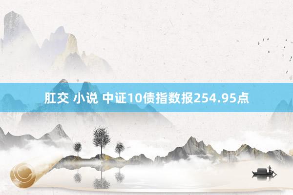 肛交 小说 中证10债指数报254.95点