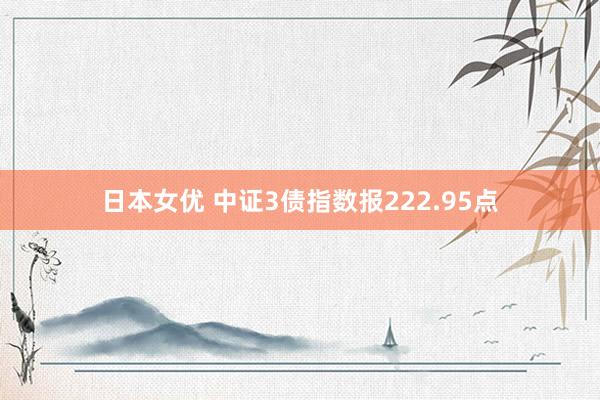 日本女优 中证3债指数报222.95点