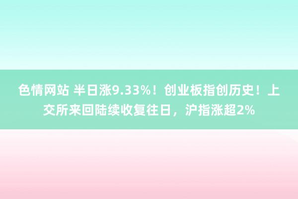 色情网站 半日涨9.33%！创业板指创历史！上交所来回陆续收复往日，沪指涨超2%