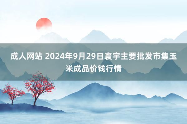 成人网站 2024年9月29日寰宇主要批发市集玉米成品价钱行情