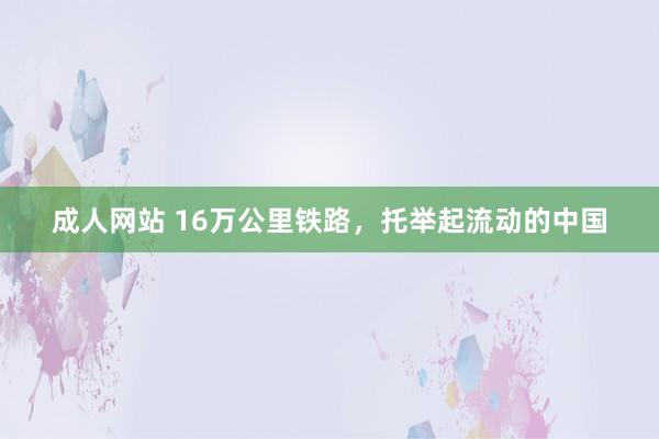 成人网站 16万公里铁路，托举起流动的中国