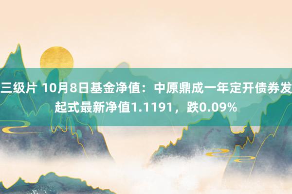 三级片 10月8日基金净值：中原鼎成一年定开债券发起式最新净值1.1191，跌0.09%