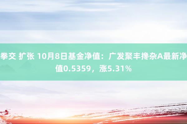 拳交 扩张 10月8日基金净值：广发聚丰搀杂A最新净值0.5359，涨5.31%