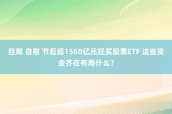 巨屌 自慰 节后超1560亿元狂买股票ETF 这些资金齐在布局什么？