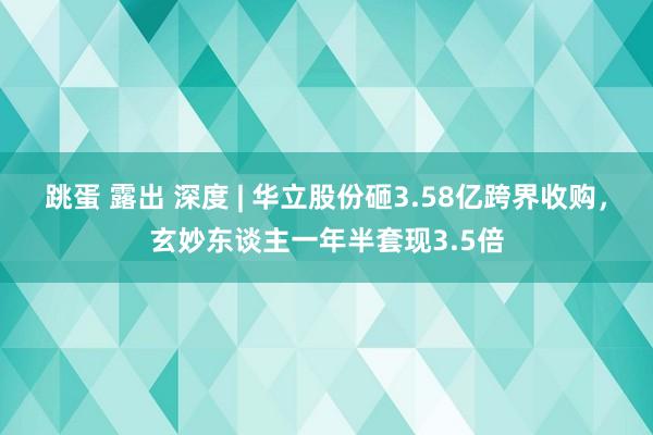 跳蛋 露出 深度 | 华立股份砸3.58亿跨界收购，玄妙东谈主一年半套现3.5倍