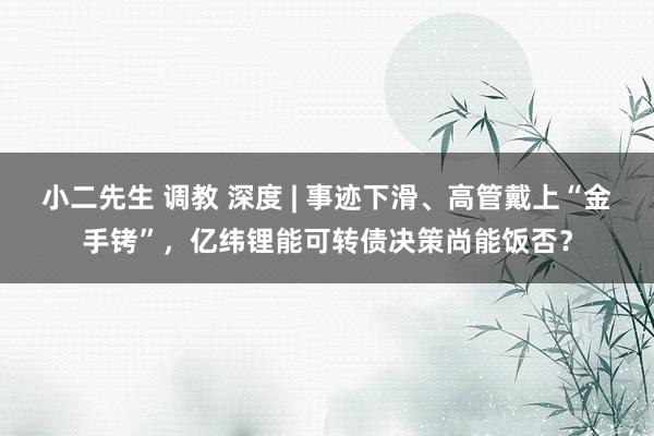 小二先生 调教 深度 | 事迹下滑、高管戴上“金手铐”，亿纬锂能可转债决策尚能饭否？