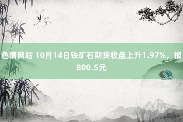 色情网站 10月14日铁矿石期货收盘上升1.97%，报800.5元