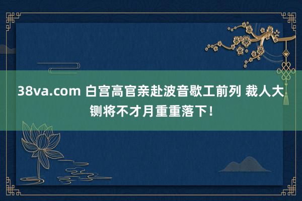 38va.com 白宫高官亲赴波音歇工前列 裁人大铡将不才月重重落下！