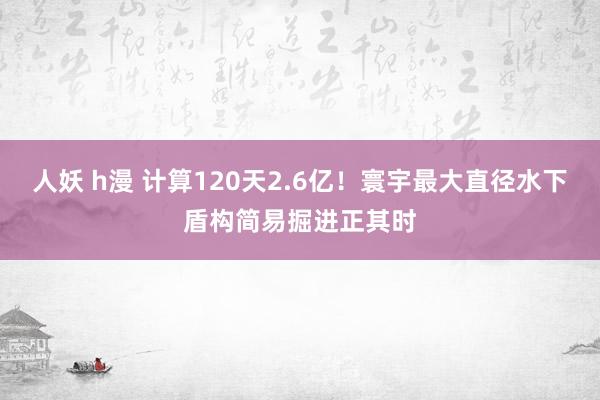 人妖 h漫 计算120天2.6亿！寰宇最大直径水下盾构简易掘进正其时