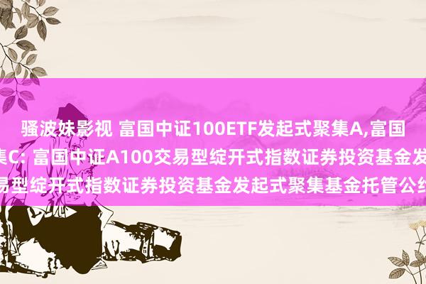 骚波妹影视 富国中证100ETF发起式聚集A，富国中证100ETF发起式聚集C: 富国中证A100交易型绽开式指数证券投资基金发起式聚集基金托管公约