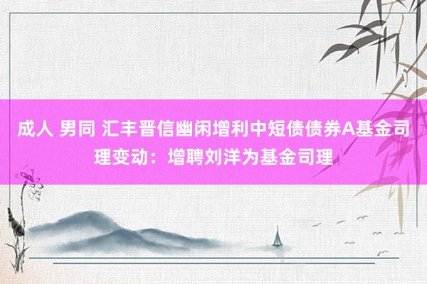 成人 男同 汇丰晋信幽闲增利中短债债券A基金司理变动：增聘刘洋为基金司理