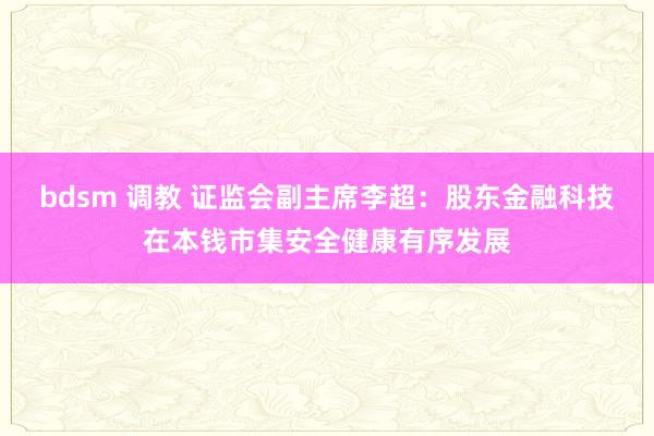 bdsm 调教 证监会副主席李超：股东金融科技在本钱市集安全健康有序发展