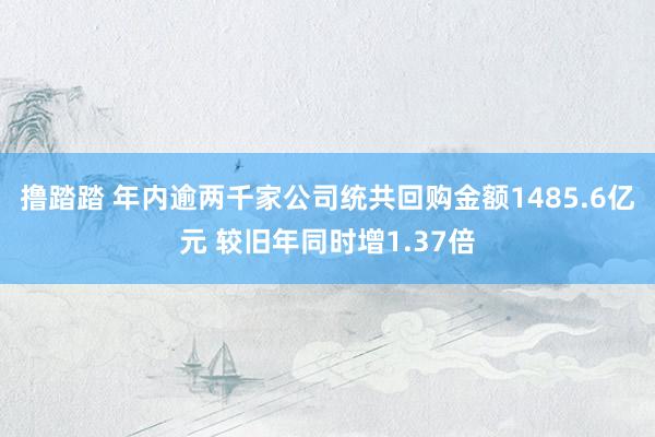 撸踏踏 年内逾两千家公司统共回购金额1485.6亿元 较旧年同时增1.37倍