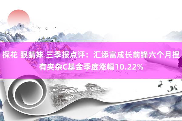 探花 眼睛妹 三季报点评：汇添富成长前锋六个月捏有夹杂C基金季度涨幅10.22%