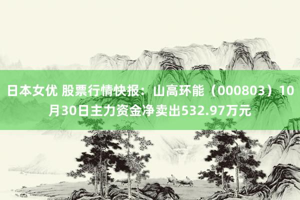 日本女优 股票行情快报：山高环能（000803）10月30日主力资金净卖出532.97万元