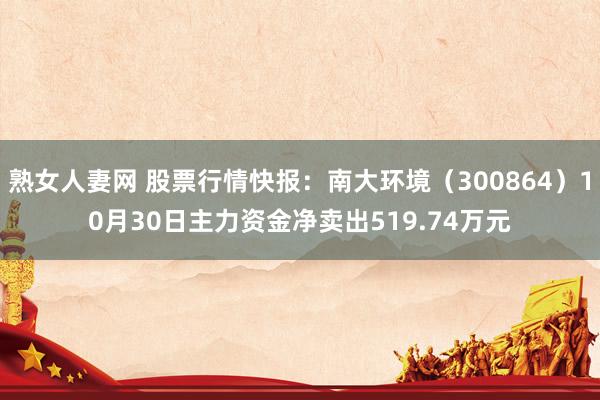 熟女人妻网 股票行情快报：南大环境（300864）10月30日主力资金净卖出519.74万元