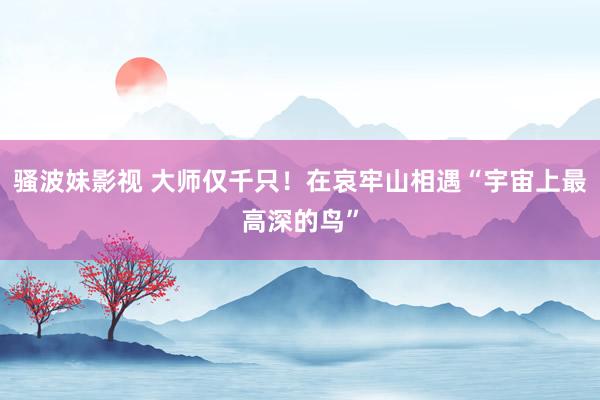 骚波妹影视 大师仅千只！在哀牢山相遇“宇宙上最高深的鸟”