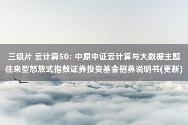 三级片 云计算50: 中原中证云计算与大数据主题往来型怒放式指数证券投资基金招募说明书(更新)