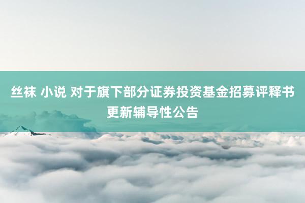 丝袜 小说 对于旗下部分证券投资基金招募评释书更新辅导性公告