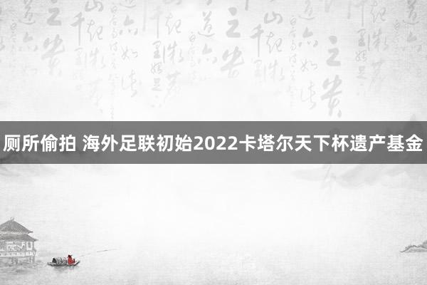 厕所偷拍 海外足联初始2022卡塔尔天下杯遗产基金