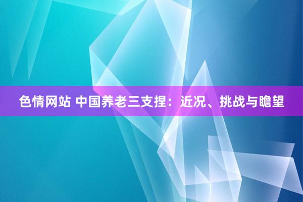 色情网站 中国养老三支捏：近况、挑战与瞻望