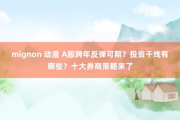 mignon 动漫 A股跨年反弹可期？投资干线有哪些？十大券商策略来了