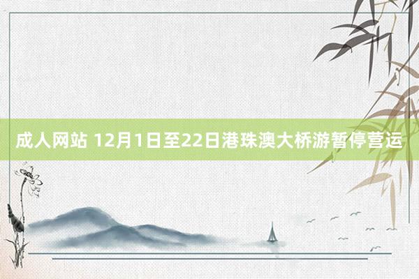 成人网站 12月1日至22日港珠澳大桥游暂停营运