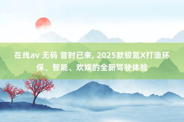 在线av 无码 昔时已来， 2025款极氪X打造环保、智能、欢娱的全新驾驶体验