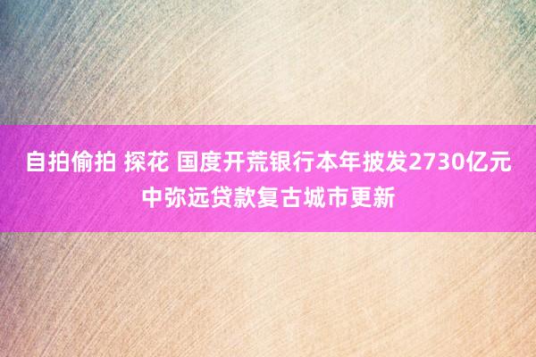 自拍偷拍 探花 国度开荒银行本年披发2730亿元中弥远贷款复古城市更新