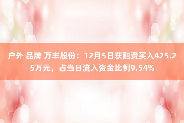 户外 品牌 万丰股份：12月5日获融资买入425.25万元，占当日流入资金比例9.54%