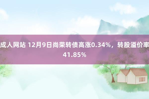 成人网站 12月9日尚荣转债高涨0.34%，转股溢价率41.85%