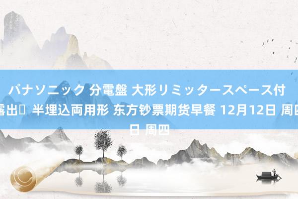 パナソニック 分電盤 大形リミッタースペース付 露出・半埋込両用形 东方钞票期货早餐 12月12日 周四