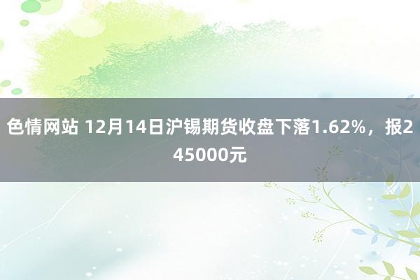 色情网站 12月14日沪锡期货收盘下落1.62%，报245000元