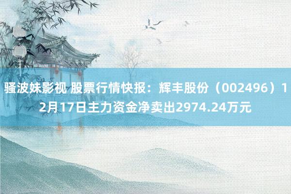 骚波妹影视 股票行情快报：辉丰股份（002496）12月17日主力资金净卖出2974.24万元