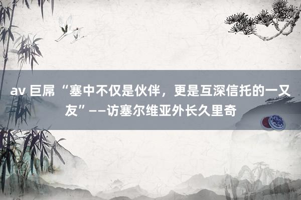 av 巨屌 “塞中不仅是伙伴，更是互深信托的一又友”——访塞尔维亚外长久里奇