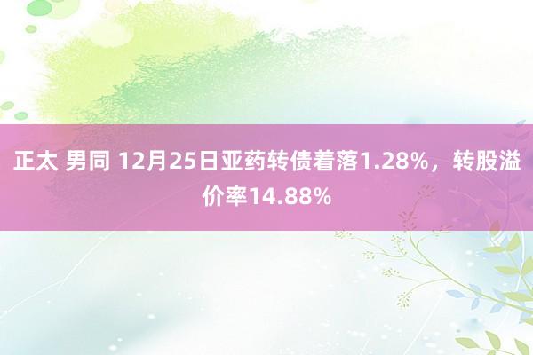 正太 男同 12月25日亚药转债着落1.28%，转股溢价率14.88%