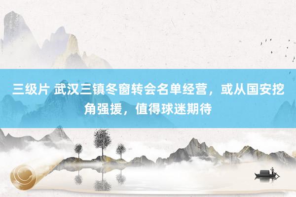 三级片 武汉三镇冬窗转会名单经营，或从国安挖角强援，值得球迷期待