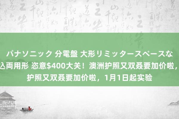 パナソニック 分電盤 大形リミッタースペースなし 露出・半埋込両用形 恣意$400大关！澳洲护照又双叒要加价啦，1月1日起实验